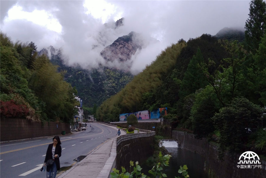 安徽黄山:雨后山林浸染景更佳