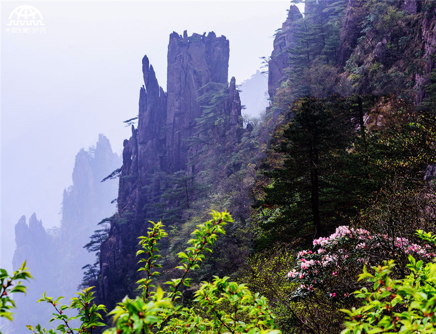 黄山:游客观云赏日场面 又是一道亮丽的风景