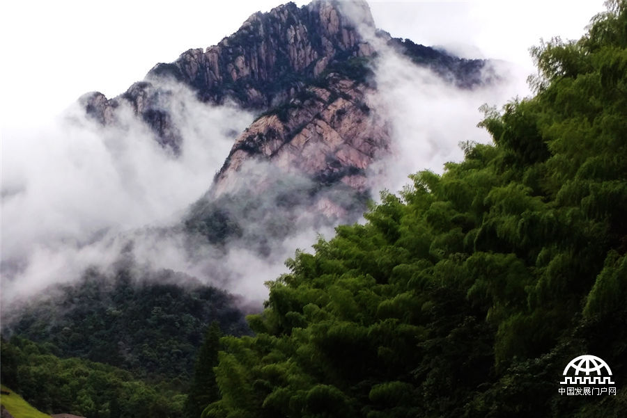雨雾黄山就像一首流动的山水诗