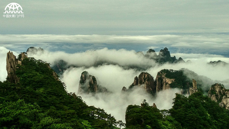 夏日雨后黄山现齐天云海 引中外游客欣赏拍照