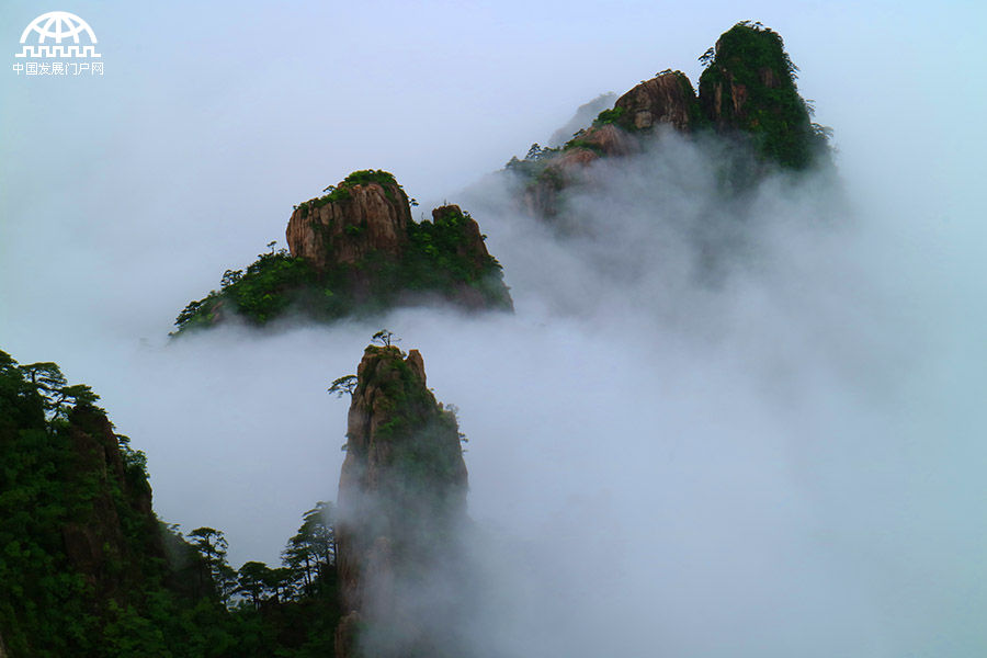 夏日雨后黄山现齐天云海 引中外游客欣赏拍照