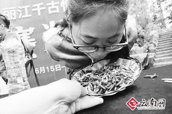 丽江景区举行吃昆虫大赛 冠军5分钟吃1.23公斤