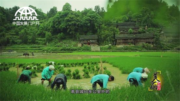 美丽中华行之深山古韵 悠悠独山