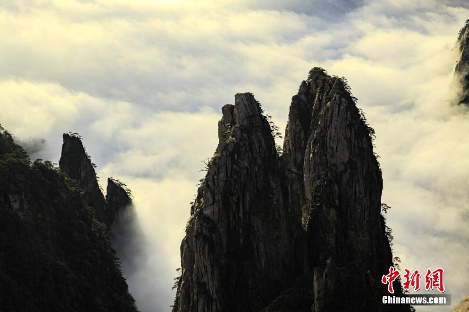 2月25日，经过一场春雨的洗礼后，“天下第一奇山”安徽黄山风景区出现了大面积的云海美景。26日早上，无边无际的云海如钱江大潮滔滔而来，与奇松怪石和绚丽的日出，构成了一幅幅妙趣横生的山水画卷，让人惊叹不已，游客纷纷拿出相机手机拍照留念。叶永清 摄