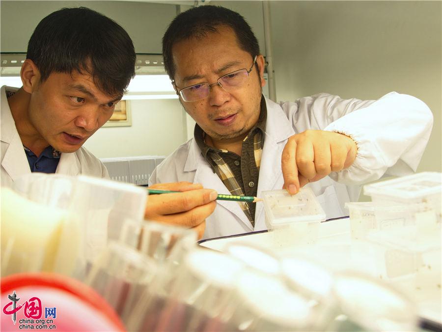 蜘蛛也能哺乳？“蜘蛛乳汁”蛋白质含量是牛奶的4倍