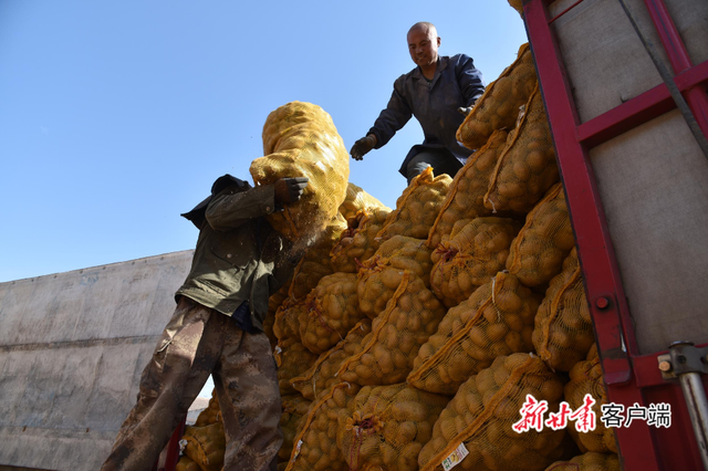 甘肃渭源：脱贫路上“致富薯”