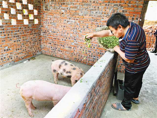 3个贫困户的2020年脱贫心愿