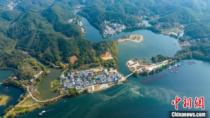 图为广西梧州市苍梧县京南镇古榄村。　何华文 摄