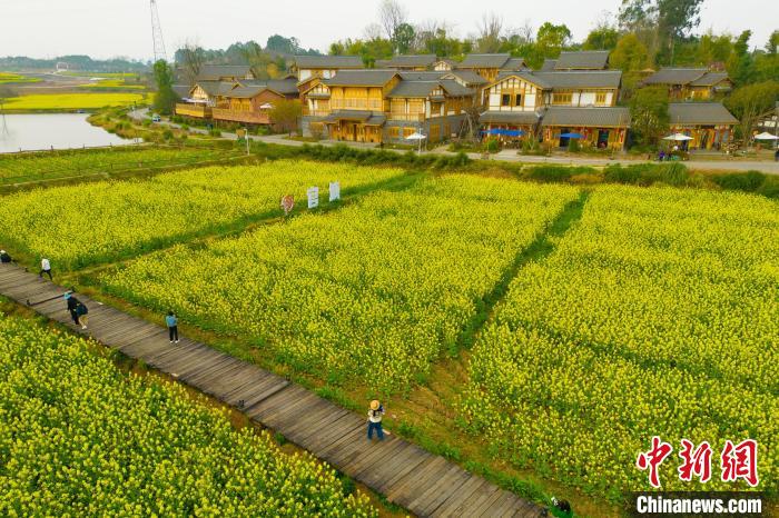 航拍官塘新村，吸引不少游客前来打卡。　张浪 摄