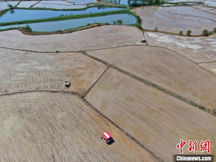 农民驾驶农机在田间劳作。(无人机照片) 陈家乐 摄