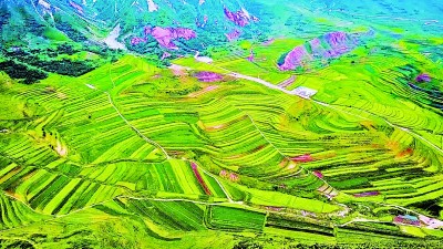 寧夏：綠了草原，富了農牧民