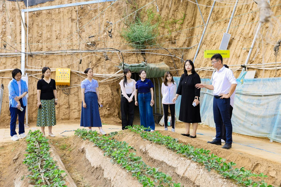 百果园三个零基地获评“推进可持续种植示范基地”