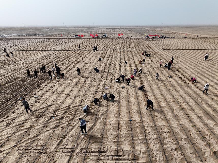 14b3b65dcc8c5afd4b2873894dc77f59.jpg 14b3b65dcc8c5afd4b2873894dc77f59.jpg