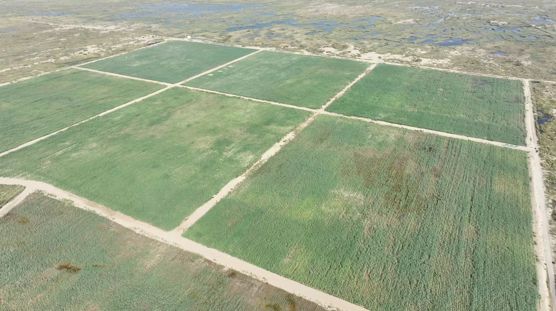 eb61a350127895566e63fc525fc7bc7d.jpg eb61a350127895566e63fc525fc7bc7d.jpg