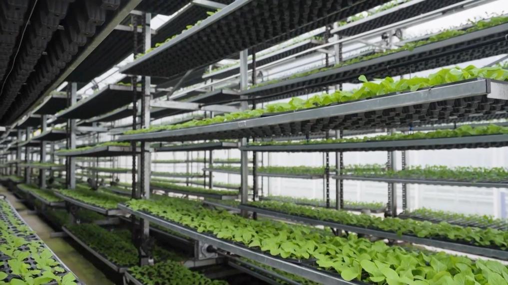 新华视点丨春耕一线见闻：科技春耕智绘沃野(图6)