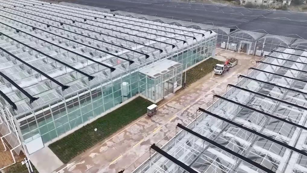 新华视点丨春耕一线见闻：科技春耕智绘沃野(图5)