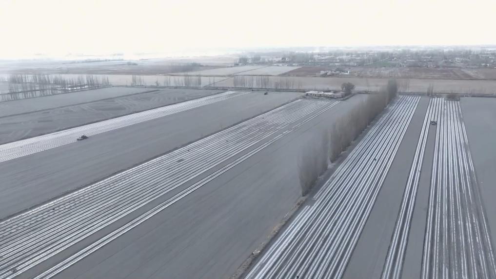 新华视点丨春耕一线见闻：科技春耕智绘沃野(图1)