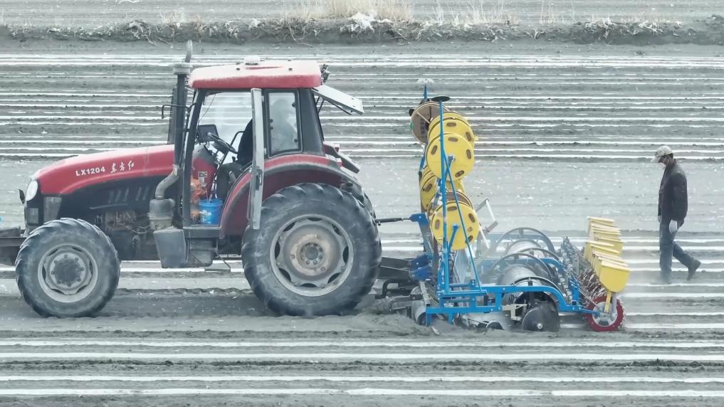 新华视点丨春耕一线见闻：科技春耕智绘沃野(图2)