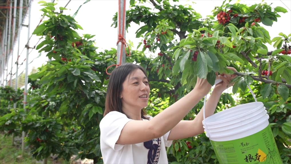 新华视点丨小产业撬动大发展特色种养绘就振兴画卷(图7)