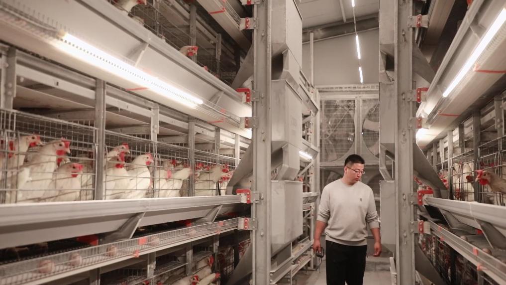 新华视点丨小产业撬动大发展特色种养绘就振兴画卷(图8)