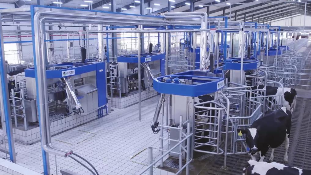 新华视点丨小产业撬动大发展特色种养绘就振兴画卷(图4)