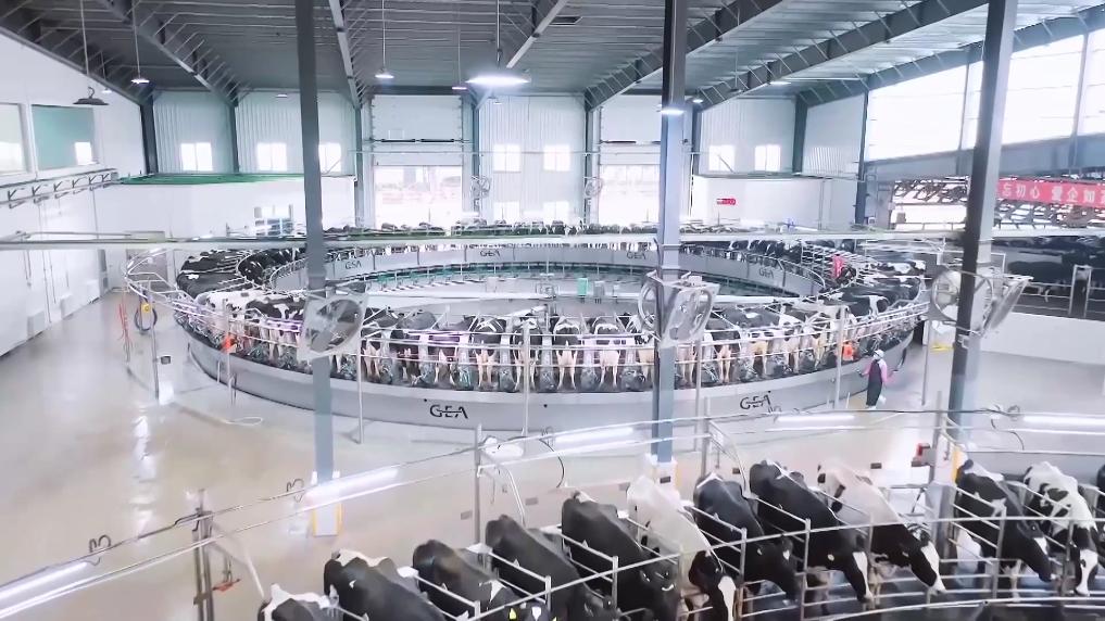 新华视点丨小产业撬动大发展特色种养绘就振兴画卷(图3)