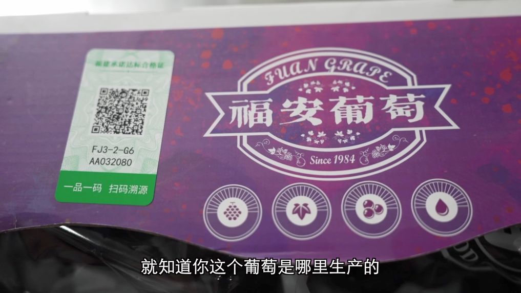 新华视点丨发展现代农业多点发力助推乡村振兴(图3)